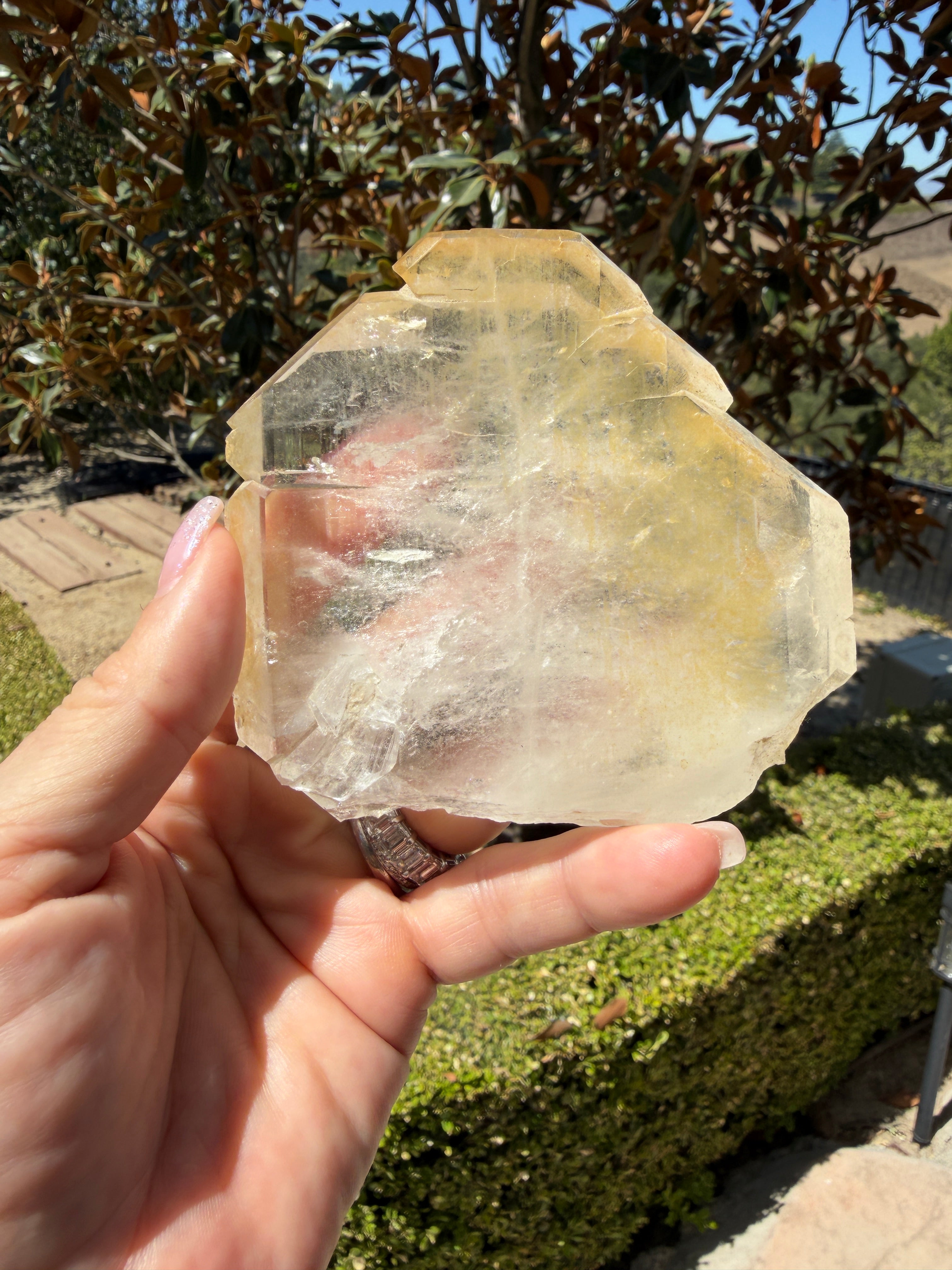 Massive Golden Healer Faden Quartz — Pakistan (Item No. 20)