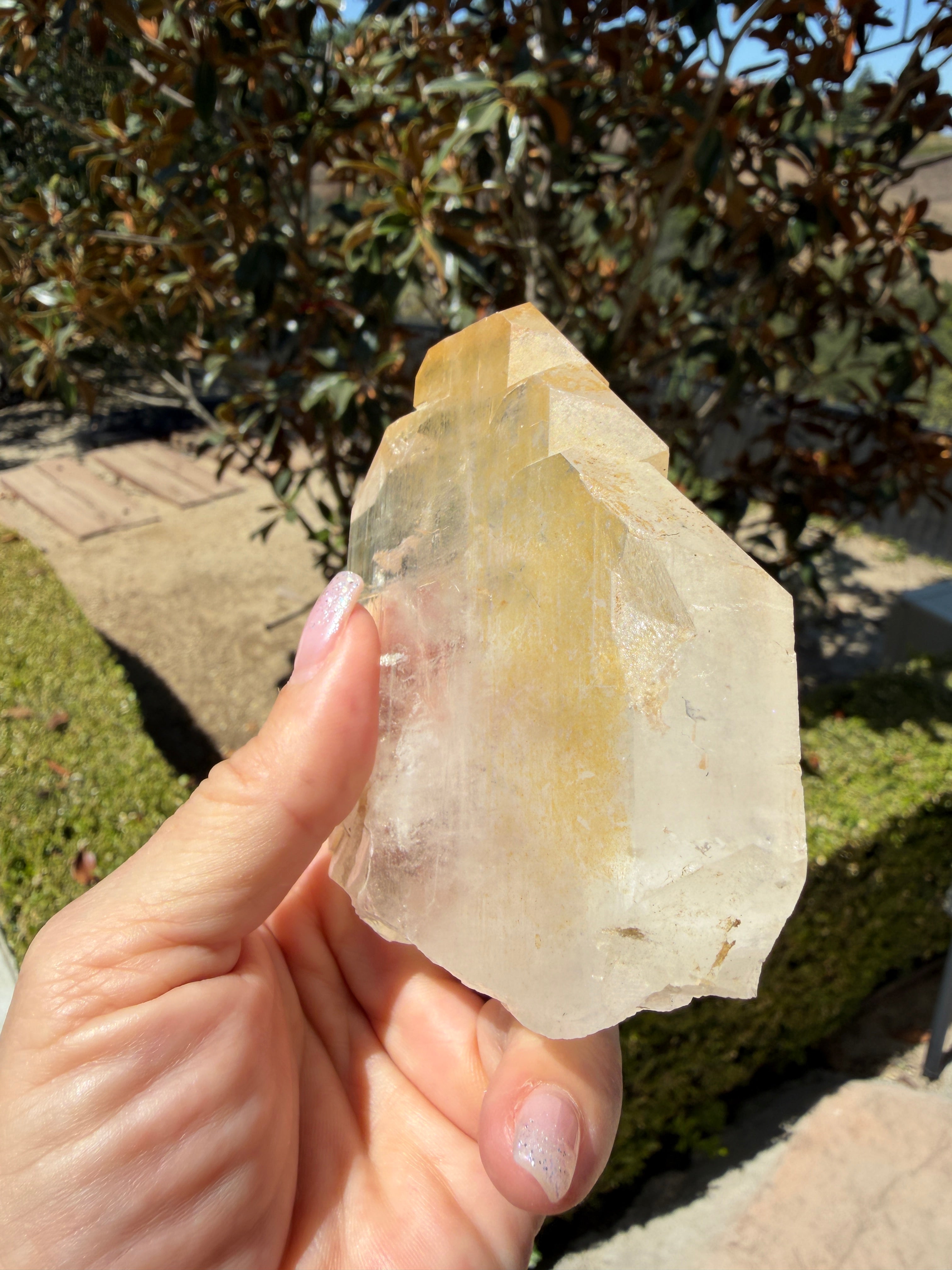 Massive Golden Healer Faden Quartz — Pakistan (Item No. 20)