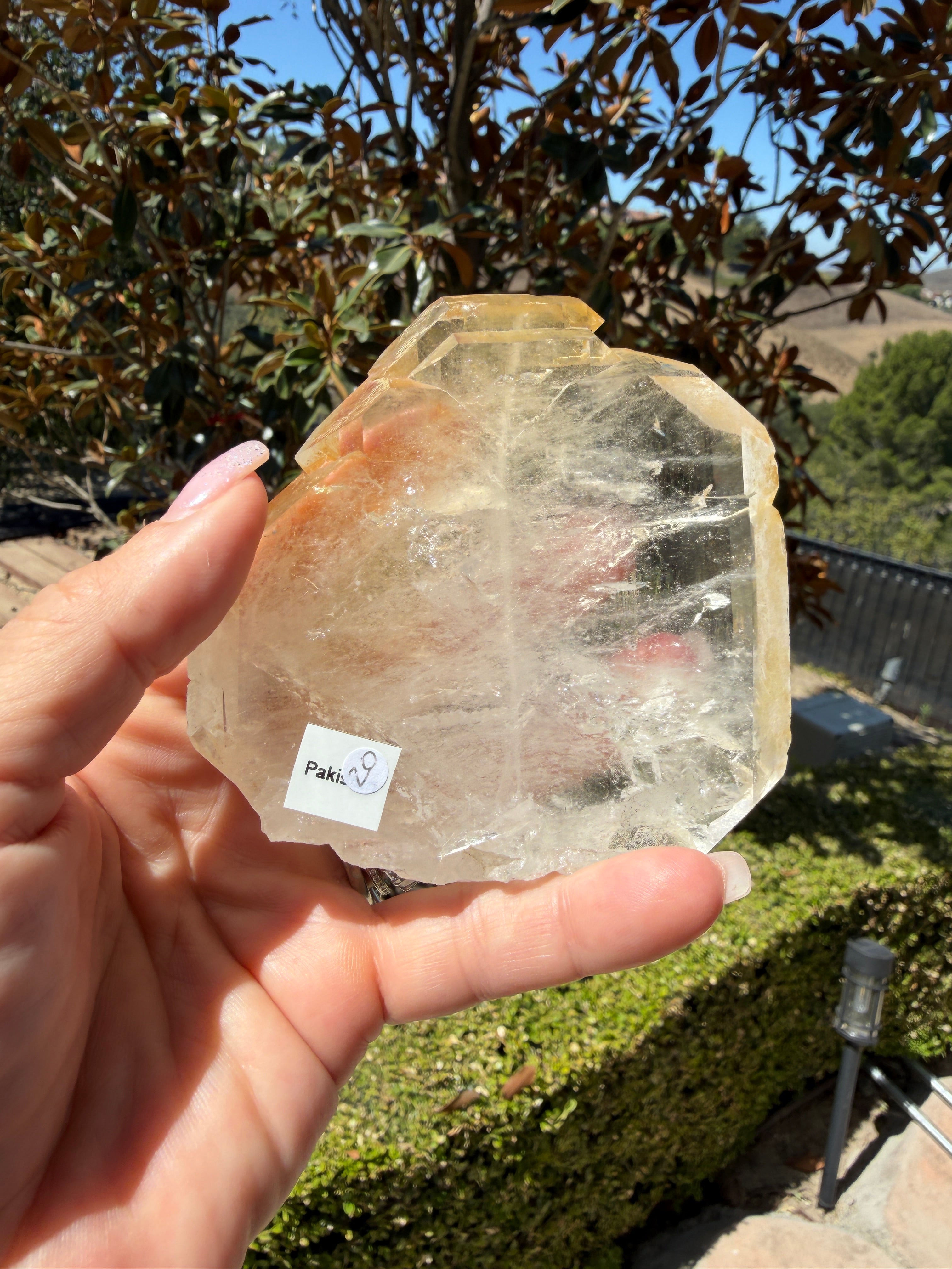 Massive Golden Healer Faden Quartz — Pakistan (Item No. 20)