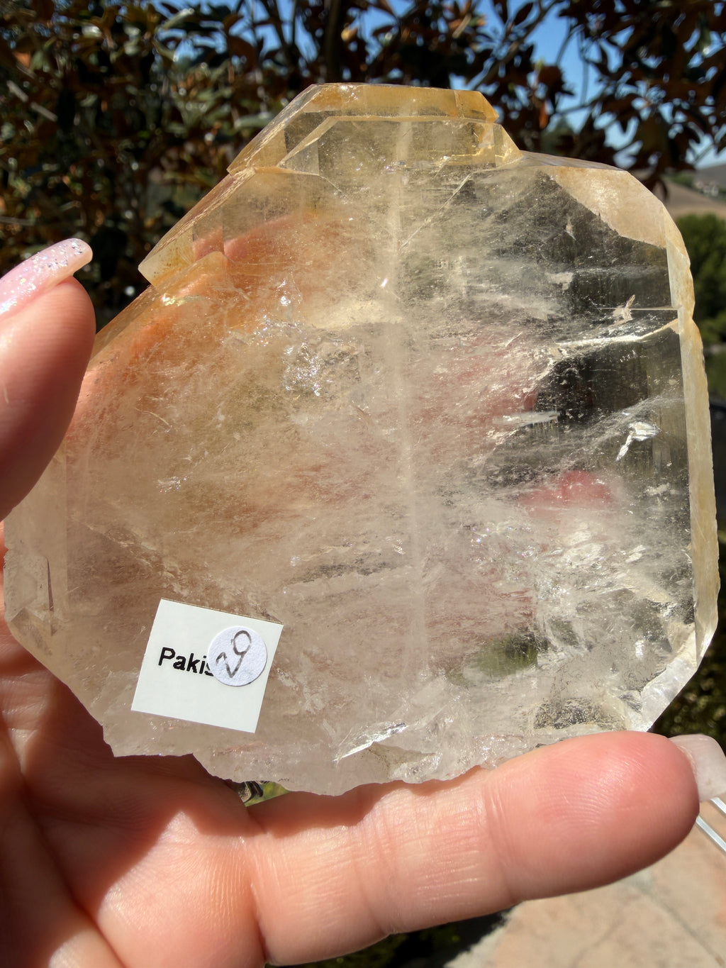 Massive Golden Healer Faden Quartz — Pakistan (Item No. 20)