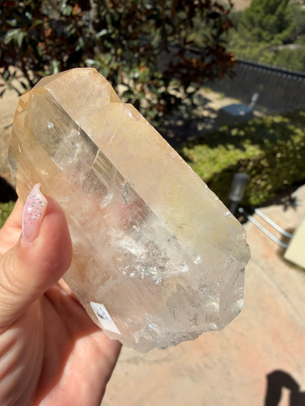 Massive Golden Healer Faden Quartz — Pakistan (Item No. 20)