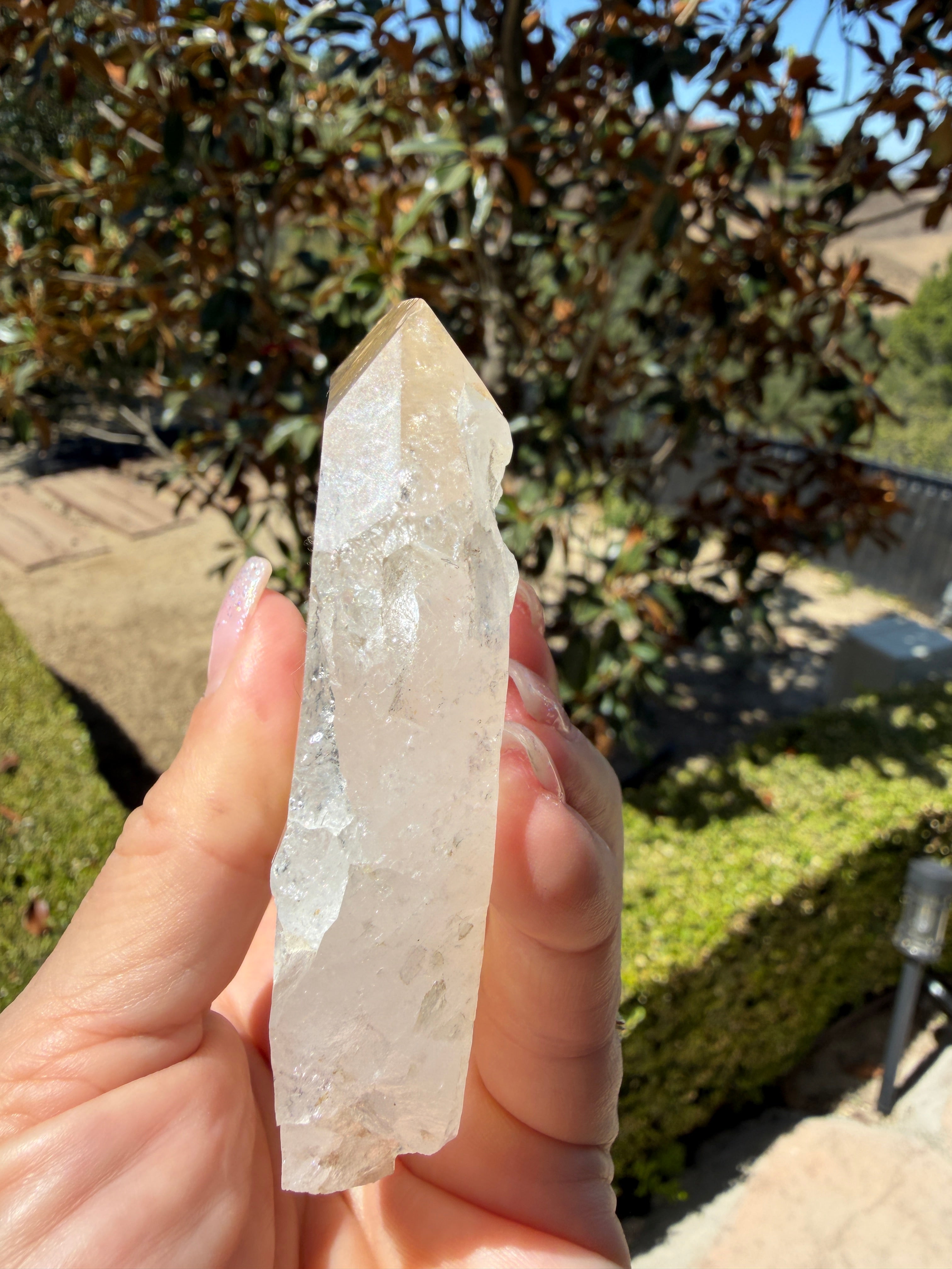 Massive Golden Healer Faden Quartz — Pakistan (Item No. 20)