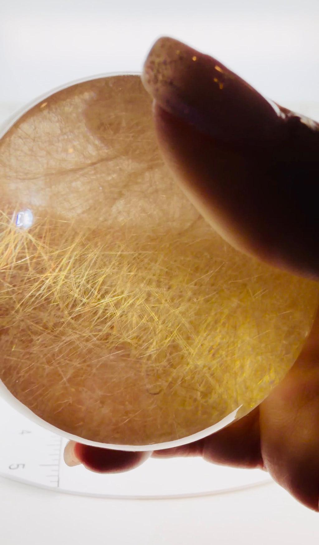 Smokey Rutilated Quartz Sphere with Shooting Star Golden Rutile — Brazil (Item No. 12)